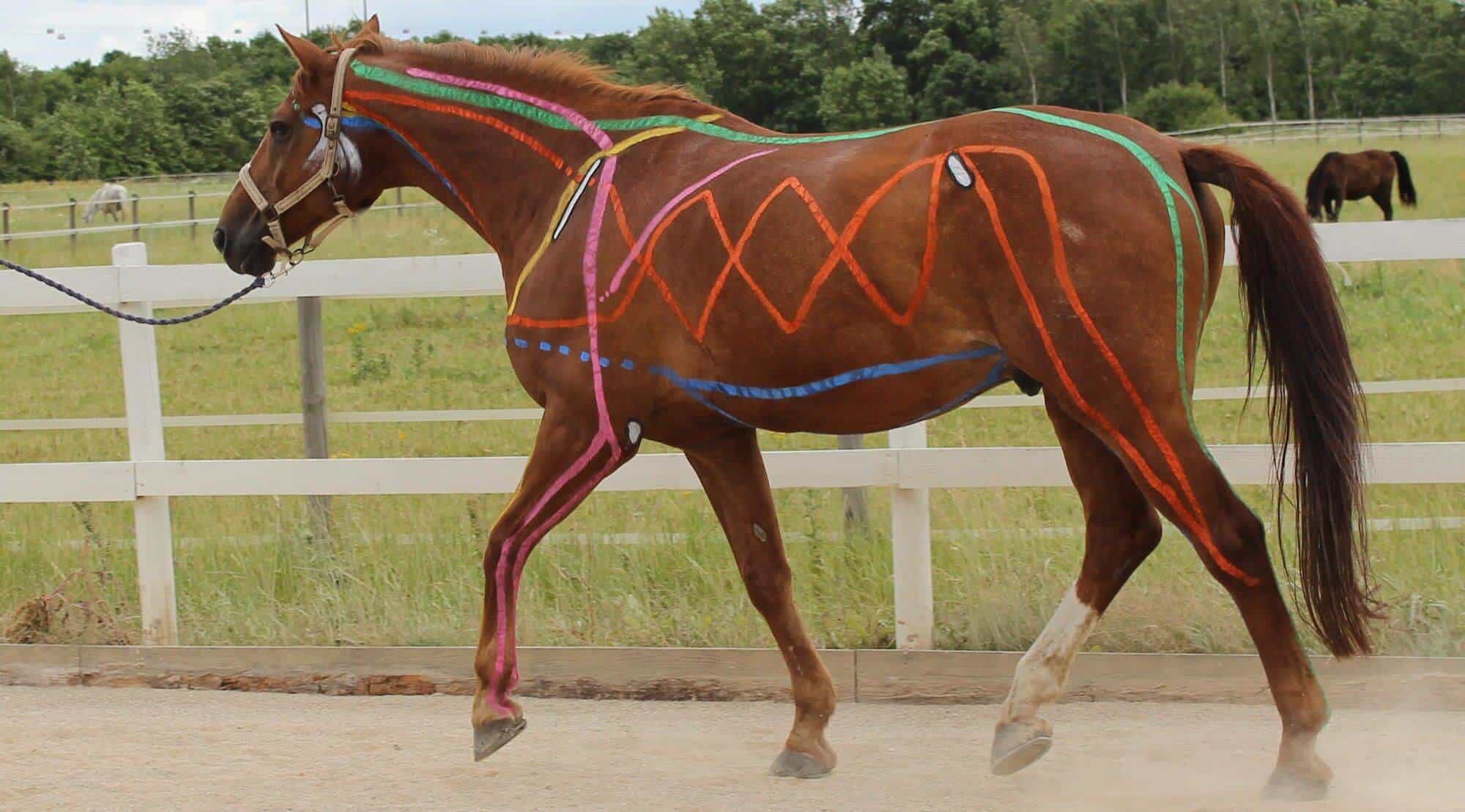 Trav fascia lines