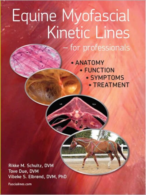 Equine Myofascial Kinetic Lines