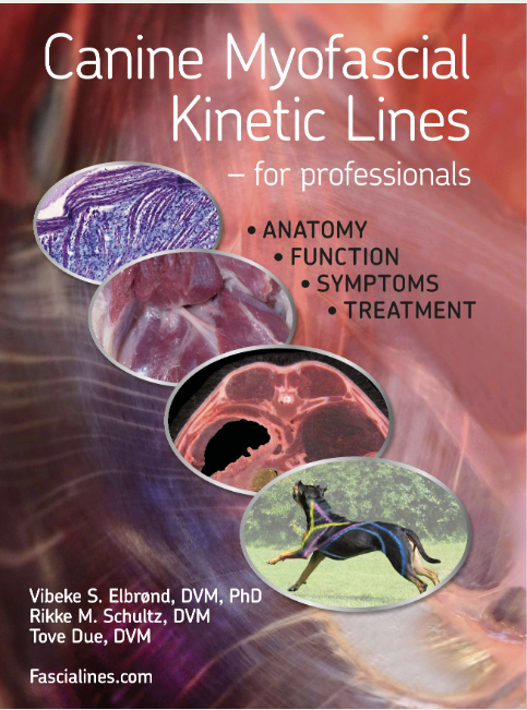 Canine Myofascial Kinetic Lines for professionals